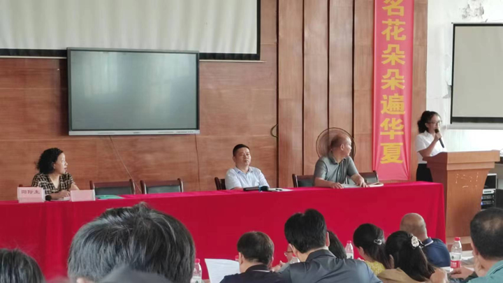 茅市中心小学陈佳老师作典型发言